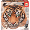 tiger face pcs  educa